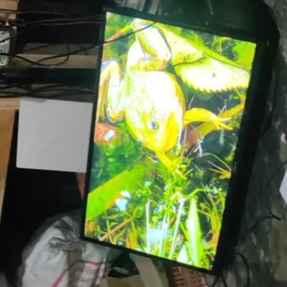 Picture of SP36821.2 32~65 inch Smart Android 9 Pie 1GB 8GB 45W LED TV Combo Motherboard 