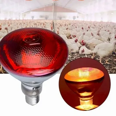 Picture of Ceramic Heat Emitter Bulb 200W AC 220V Light Lamp For Reptile Pet Brooder 