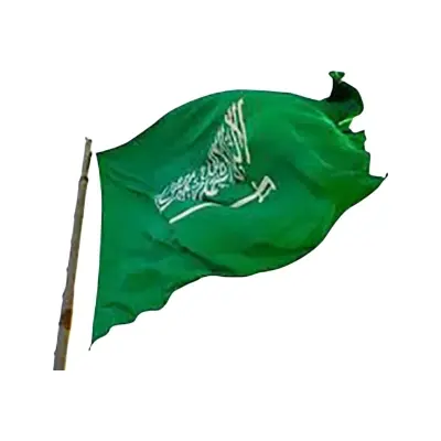 Picture of Saudi Arabian National Flag 5Ft X 3Ft - Sticky Notes - Multicolor