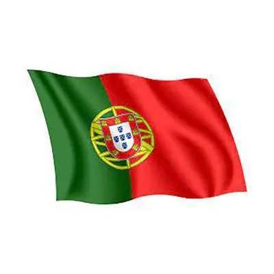 Picture of Portugal National Flag 3ft X 2ft - Multicolor