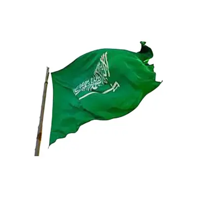 Picture of Saudi Arabian national flag 5 feet by 3 feet. - Green