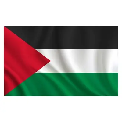 Picture of Palestine National Flag 3ft x 2ft One  sided Sublimation Print, High Quality. - Multicolor