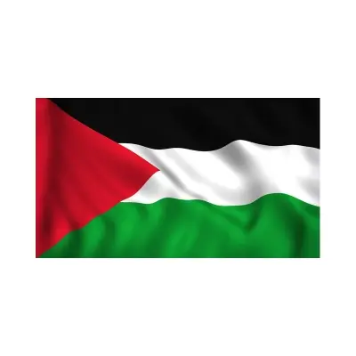 Picture of Palestine National Flag 5ft x 3ft One Sided Sublimation Print, High Quality. - Multicolor