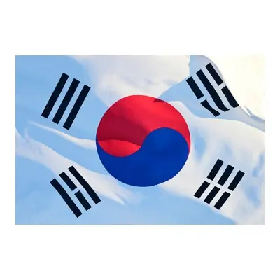 Picture of South Korea Flag 5ft x 3ft One Sided Sublimation Print, High Quality. - Multicolor