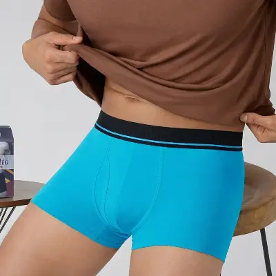 Picture of WINNER MEN'S Perfeto Boxer