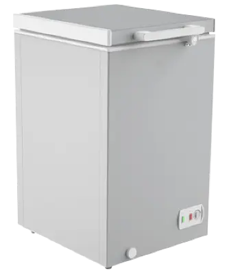 Picture of Singer Chest/Deep Freezer 99 Liter Silver