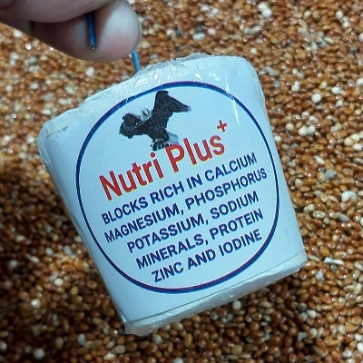Picture of Nutri Plus Blocks for all type birds 2 pcs