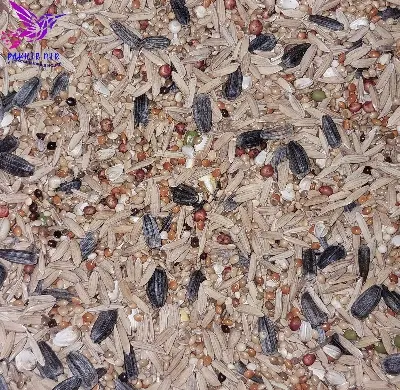 Picture of Seed mix for Bird ( cokatail)-1 kg
