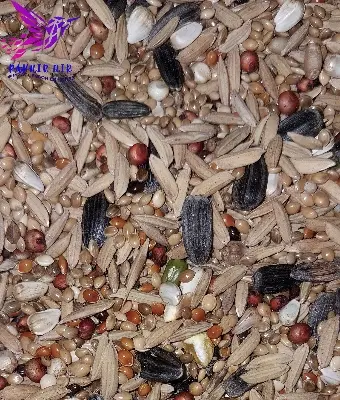 Picture of Seed mix for Bird ( cokatail)-1 kg