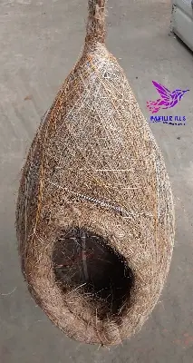 Picture of Hand made bird nest Large size 1 Pcs - Pakhir basa