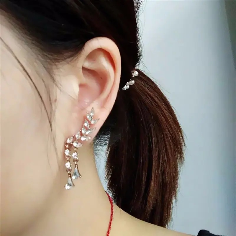 Picture of New Fashion Jewelry Shining Crystal Leaves Earrings For Women Double Cubic Zircon Tassel Earrings High Quality - Ear Ring