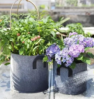 Picture of Breathable Plant Fiber Grow Bags Non-Woven Tomato Tree Planting Felt Flower Pots