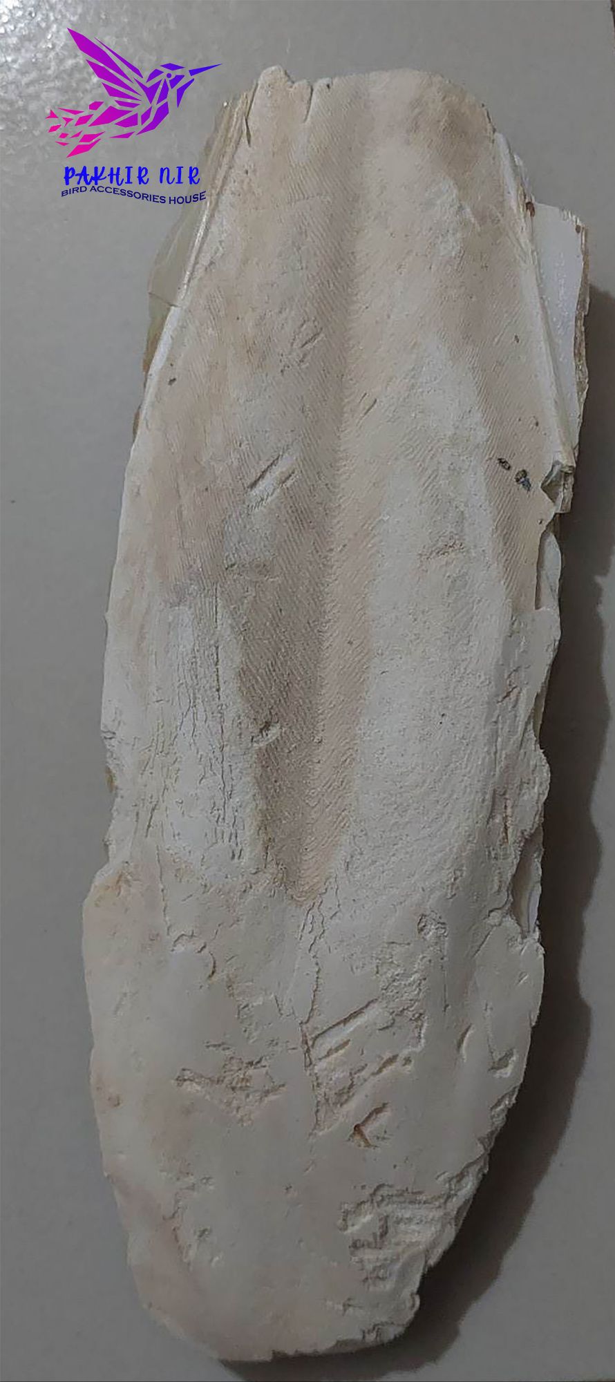 Picture of Cattle Fish Bone for all type  bird