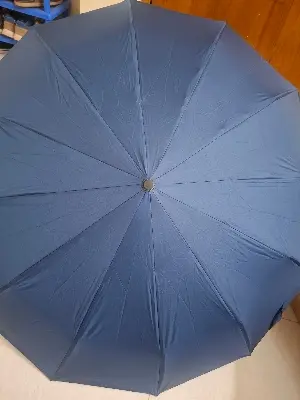 Picture of 12 Ribs High Quality  Umbrella Man and women Luxury 12Ribs Umbrella for Car Business Big Umbrella Sun Rain Women Parasol Windproof Folding -Umbrella