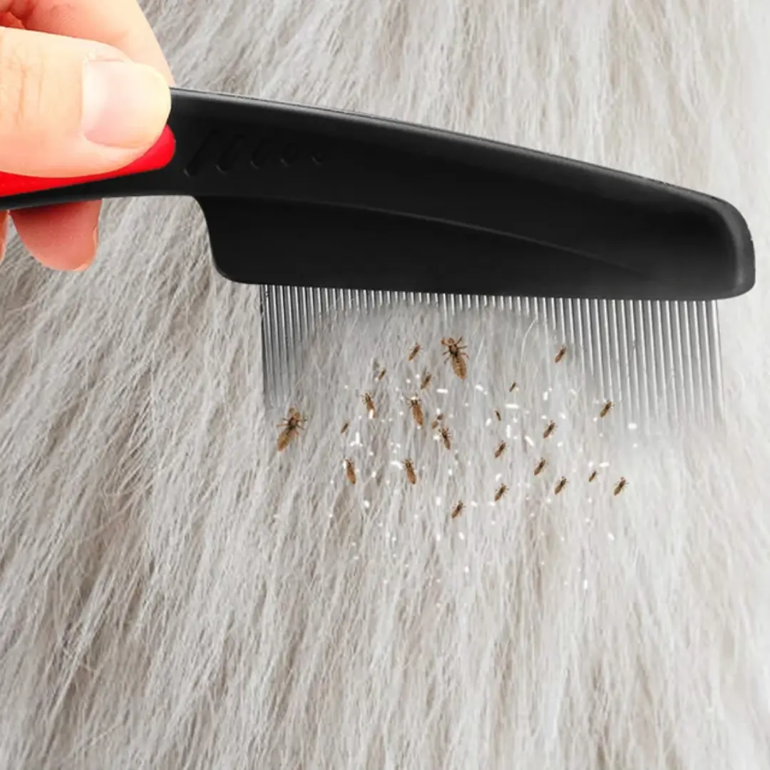 Picture of Cross-border hot selling 5-piece set of anti-dandruff comb stainless steel fine-tooth anti-dandruff comb anti-dandruff comb hollow tooth hairbrush scalp massage
