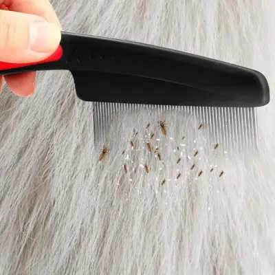 Picture of Cross-border hot selling 5-piece set of anti-dandruff comb stainless steel fine-tooth anti-dandruff comb anti-dandruff comb hollow tooth hairbrush scalp massage