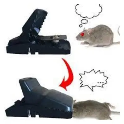 Picture of 2pcs Mouse Trap Mouse Finger Live Trap Rat trap Black -Multicolor