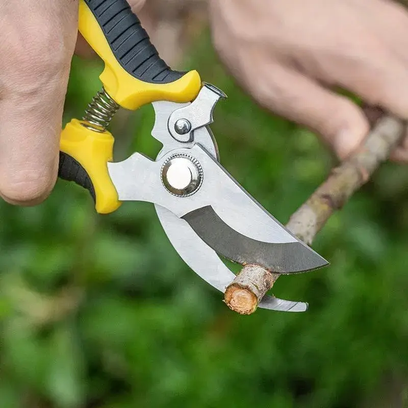 Picture of Tree Cutting Plus – Reliable Tree Cutting Services for Home & Outdoor