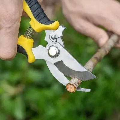 Picture of Tree Cutting Plus – Reliable Tree Cutting Services for Home & Outdoor