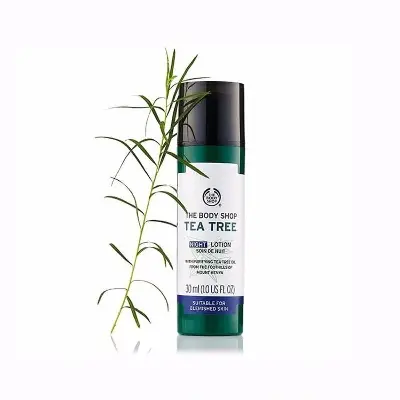 Picture of The Body Shop Tea Tree Night Lotion – 30 Ml