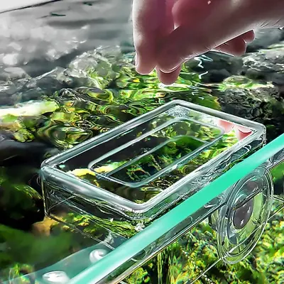 Picture of Aquarium Feeding Ring Fish Tank Floating Food Tray Feeder Square Circle Accessory Fish Food Feeder Suction Cup