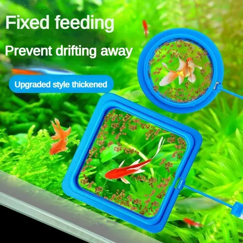 Picture of Aquarium Feeding Ring Fish Tank Floating Food Tray Feeder Square Circle Accessory Fish Food Feeder Suction Cup