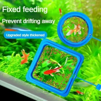 Picture of Aquarium Feeding Ring Fish Tank Floating Food Tray Feeder Square Circle Accessory Fish Food Feeder Suction Cup