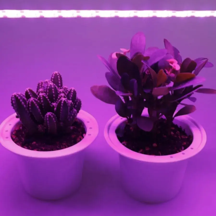 Picture of Plant Light Grow LED Strip 5V USB LED 1meter Full Spectrum LED Chip For Greenhouse Flower Seedling Grow Tent Hydroponic Purple