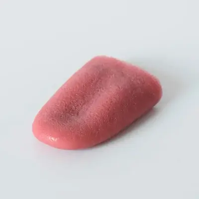 Picture of Funny Magic Realistic Fake Tongue Jokes Prank Magic Tricks Halloween Magician