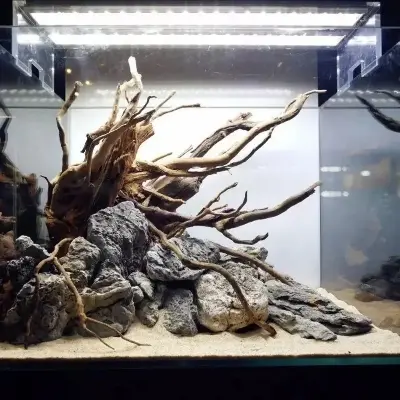 Picture of Driftwood Aquarium Fish Tank Reptile Roots Plant Wood Decoration Accessory Aquarium