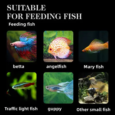 Picture of Siso Small Fish Food 20 kg
