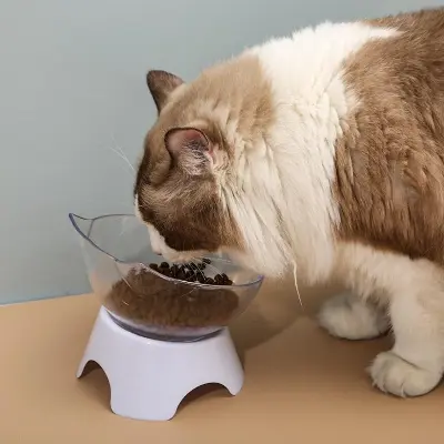 Picture of Plastic Tilted Elevated Cat Bowl Pet Food Bowl Tilt High Bottom Neck Protector Antichoking Pet Bowl Feeding Supplies