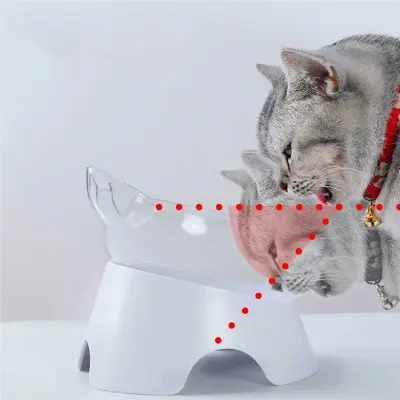 Picture of Plastic Tilted Elevated Cat Bowl Pet Food Bowl Tilt High Bottom Neck Protector Antichoking Pet Bowl Feeding Supplies