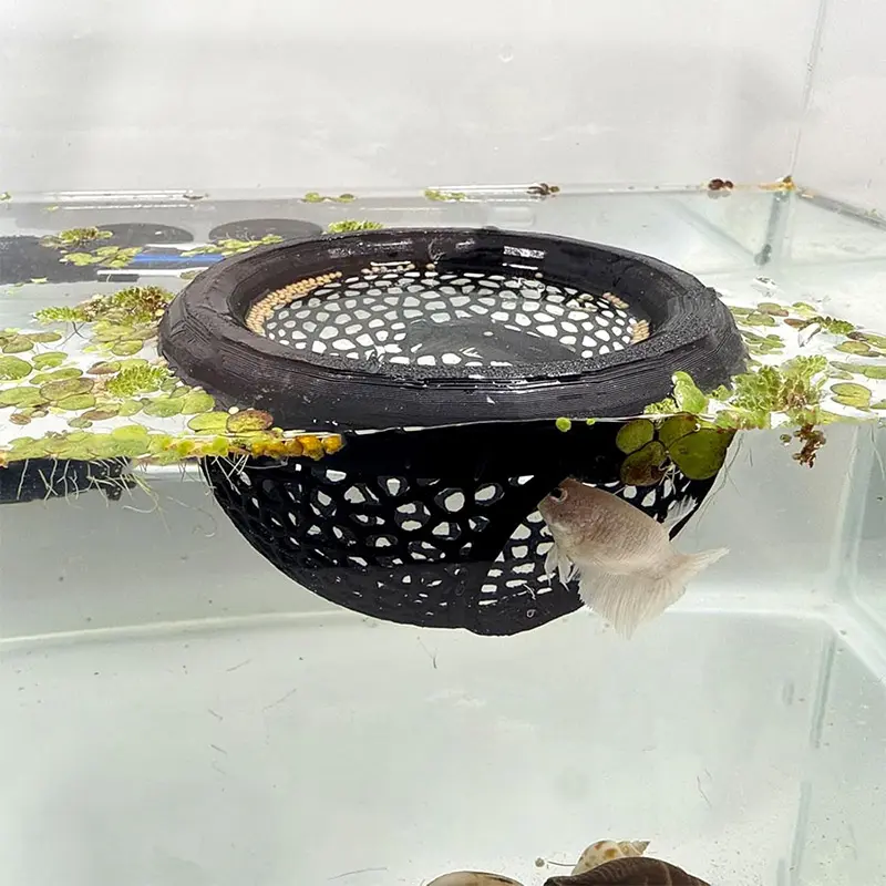 Picture of New Small Aquatic Pet Lounge Aquarium Accessories Floating Hole Fish Shrimp Hiding Place 3 In 1 Hammock Feeding Ring Beta