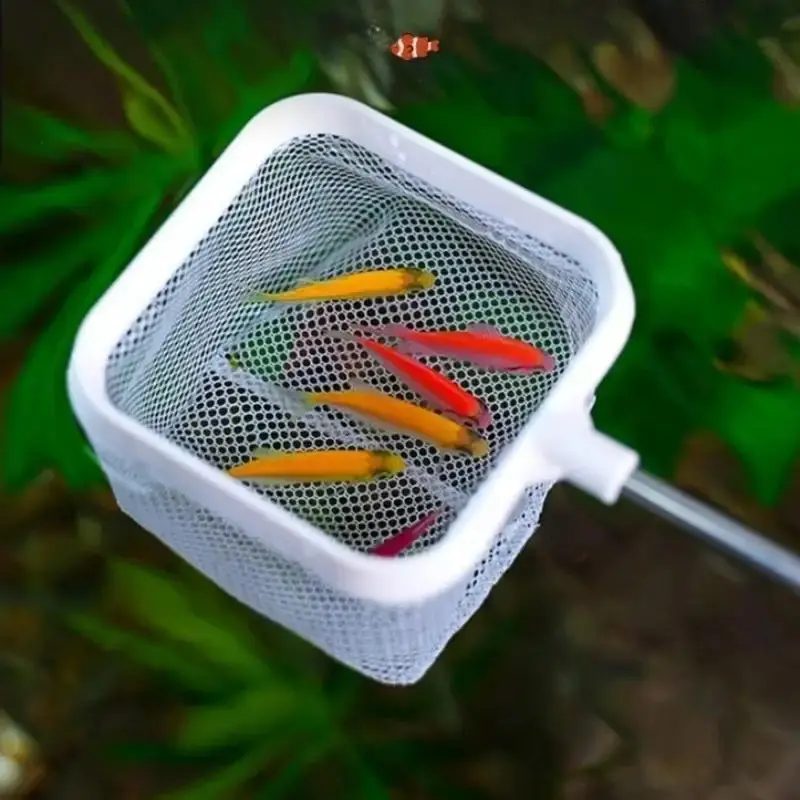 Picture of Stainless Steel Fine Net Fishing Net - Retractable and Durable Aquarium and Fish Tank To Catch Small Fish Accessories
