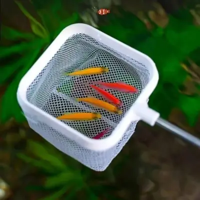 Picture of Stainless Steel Fine Net Fishing Net - Retractable and Durable Aquarium and Fish Tank To Catch Small Fish Accessories