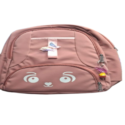 Picture of Stylish Trendy School Bag For Girls