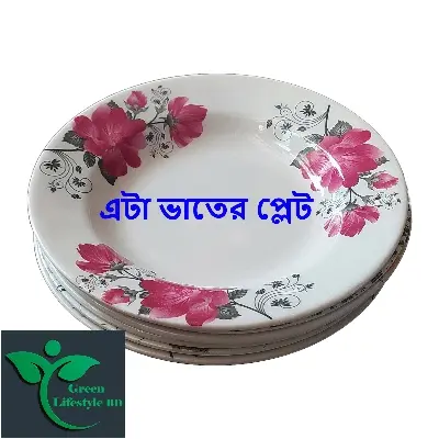 Picture of 6 pcs Set Big Size Melamine Plate (9.5" Size ) for Home & Office High Quality Melamine. - Multicolor
