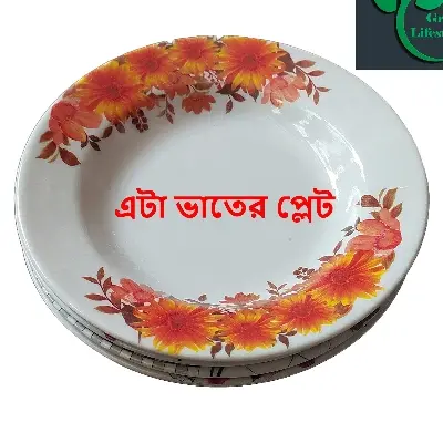Picture of 6 pcs Set Big Size Melamine Plate (9.5" Size ) for Home & Office High Quality Melamine. - Multicolor
