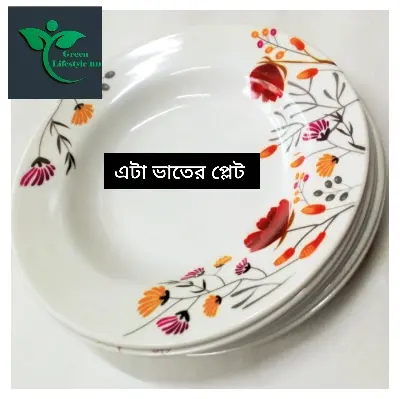 Picture of 6 pcs Set Big Size Melamine Plate (9.5" Size ) for Home & Office High Quality Melamine. - Multicolor