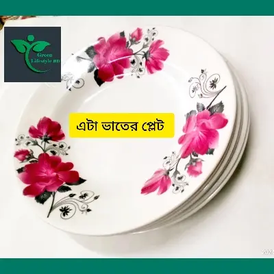 Picture of 6 pcs Set Big Size Melamine Plate (9.5" Size ) for Home & Office High Quality Melamine. - Multicolor
