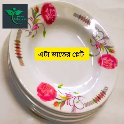 Picture of 6 pcs Set Big Size Melamine Plate (9.5" Size ) for Home & Office High Quality Melamine. - Multicolor
