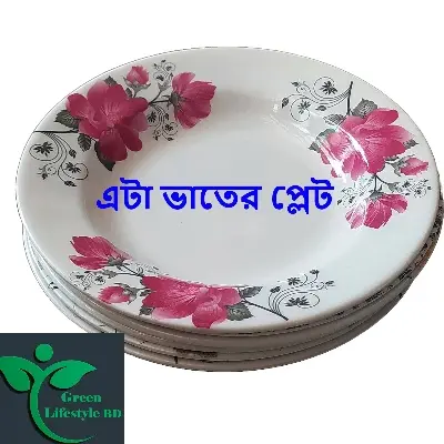 Picture of 6 pcs Set Big Size Melamine Plate (9.5" Size ) for Home & Office High Quality Melamine. - Multicolor