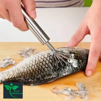 Picture of Stainless Steel Coconut Scraper Tool Kitchen Scale and Potato Accessories with Meat Removal Knife Baking & Pastry Tools