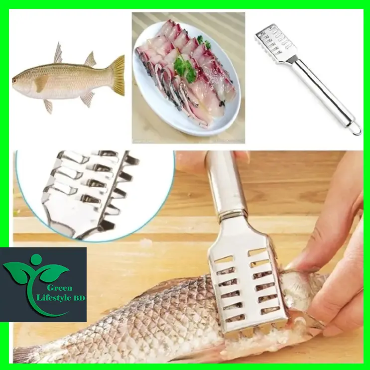 Picture of 2 pcs Fish Skin Scraper Stainless Steel Fish Scales Fishing Cocina Tool Fish Scaler  (Pack of 2) - Silver