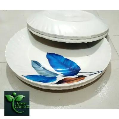 Picture of 4/6 Pcs High-Quality Melamine Plate Set – 11 Inch Big Size Plates, Multi Design for Home & Restaurant