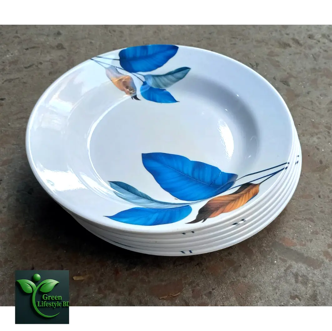 Picture of Premium 9.5 Inch Melamine Dining Plate Set – 4/6 Pcs Lightweight & Easy to Clean Plates