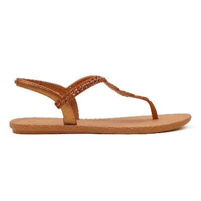 Picture of Ipanema Women's Flat Sandal Brown