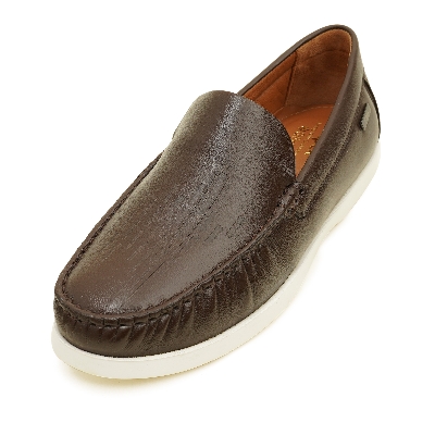 Picture of Apex Men's Casual Shoe Brown