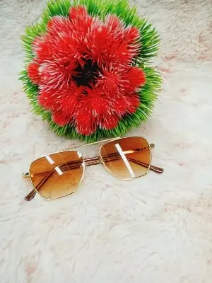Picture of Exclusive Fashionabel sunglass